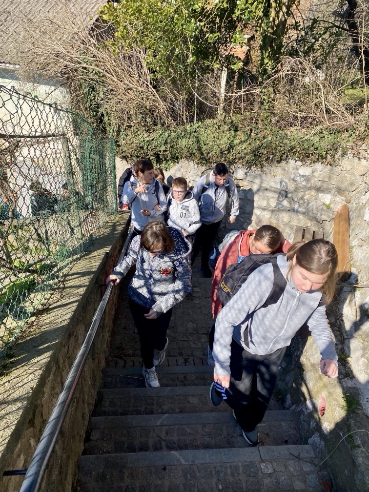 Projekt Zdrav življenjski slog